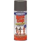 41145 Masterchem Industries Hammered Spray Paint Gray 051652411454