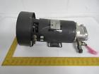 D-481575x7087a 570-363-451 Raymond Dc Pump Motor Assembly Hp Vdc