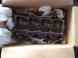 901083855 Head Cylinder