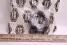 215634 Clark Lock Nut