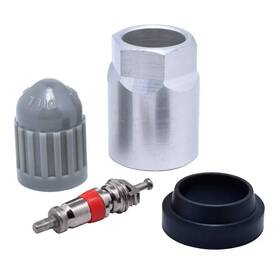 1070k-25 Dill Air Controls Gm Replacement Schrader Valve For Tire Repair