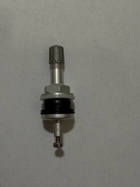 Vs-919 Dill Air Controls Repl Tpms Stem 0.625 Inch