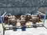 H211de-2 Clark Three Forklift Transaxles Model