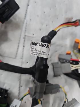 1001245672 Jlg Harness Turntable E300 Part Number For