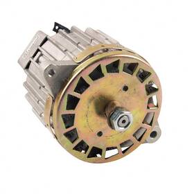 1394003r Ouroverstock For Hyster Alternator