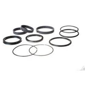 2901321 Ouroverstock For Jlg Qty 2 Seal Kit - Hydraulic Cylinder