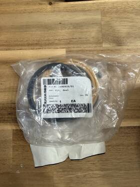 1090926 Raymond 1090926/01 Kit Seal