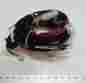 Sku-13161208c 4923581 Jlg Harness Mtb Epbc
