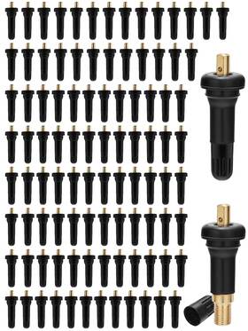 17-20008 Tautoy Tytpb134 100 Pcs Tpms Snap-in Tire Pressure Sensor Valve Stem 2005-2016 For Jeep