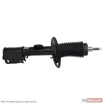 Frt Shock Absorber Motorcraft ASH12243. Fixed Price $140.90.