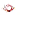 Genie 54831, 54831GT, Joystick Upgrade Dc/bi Kit. Fixed Price $37.62.