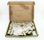 New Tsubaki 120TTRB Roller Chain Titan Riv 10FT. 1-1/2" Pitch RS120. Fixed Price $400.00.