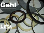 L99332 Carrier Slave Cylinder Seal Kit Fits Gehl 663. Fixed Price $47.34.