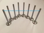 Fits Mazda Hyster Forklift Ua Valves Intake Exhaust + Guides. Fixed Price $159.15.