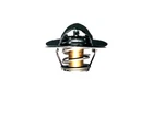 Napa New Thermostat Thm 183. Fixed Price $12.28.