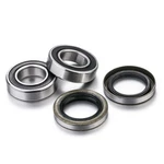 Rear Wheel Bearing Kit Gas EC125 EC250 24-25, EC300 Gp. Fixed Price $32.97.
