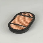 Donaldson P615493 Air Filter Safety Obround. Fixed Price $41.99.
