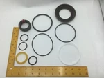 891-1001 Lpm Tilt Cylinder Seal Kit 8911001 SK32210224JE. Fixed Price $105.33.
