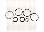 Hyster 1492644, Seal Kit - Tilt Cylinder, H50XM. Fixed Price $42.00.