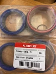 (TY04653-U3040-71) Toyota Lift Cylinder Seal Kit New Bag. Fixed Price $215.00.
