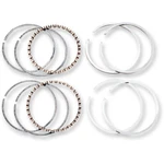 Hastings Piston Ring Set - Evolution Standard 6164. Fixed Price $39.05.