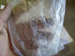 Hyster 348525 Pins? Lot Of. Fixed Price $23.99.