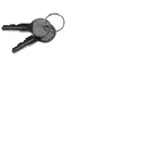 For Taylor Dunn Part # 71-120-80 Key Set. Fixed Price $8.75.