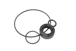 Aztec Replacement For Seal Kit Hyster 284900 - Hydraulic Pump. Fixed Price $109.99.
