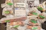 Total Source CL1811736-GE Contact Kit EV-100 Tip Fit (hyster,cat). Fixed Price $140.00.