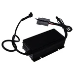 1120-560000-00-01 Battery Charger 25A 110V For Bigjoe 11205600000001. Fixed Price $174.28.