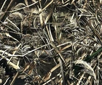 Realtree MAX5 Printed Canvas Tough Duck 600D Water Resistant Outdoor Fabric 59". Fixed Price $21.99.