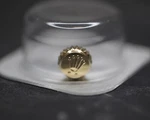Rolex 24-605-8 New Datejust Day-date Genuine 18K Gold Crown Original Pack 3235. Fixed Price $577.53.
