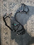 8814371 Yale Hyster Chassis Rh Wiring Harness New Oem. Fixed Price $1000.00.