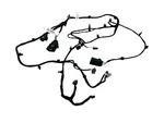 2024 Honda Prologue Central Floor Console Body Lower Front Wire Harness 85030201. Fixed Price $136.00.