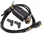 Ignition Coil Spark Plug Ski-doo Formula 500 Deluxe 583 1997. Fixed Price $25.99.