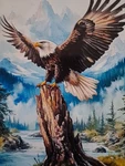 Stamped Cross Stitch Eagle Perched On Log 14CT 40X40CM 25 Colors Project Bag. Fixed Price $14.99.