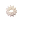 Crown Lift Truck 1.0 Rctf - Gear Pinion 078213. Fixed Price $42.40.