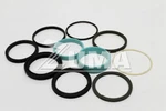 Genie Part 78912GT - Seal Kit (55717) Dongyang Ver Oem. Fixed Price $333.84.