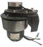 Forklift Part Drive Motor Z130BLD750-48A1-30S-1 20250215055. Fixed Price $299.99.