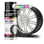 Automotive Wheel Paint For Skoda Steel Gray Metallic 9157. Fixed Price $36.99.