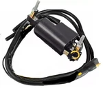 Ignition Coil Spark Plug Ski-doo Formula 500 Deluxe 583 1997. Fixed Price $28.99.