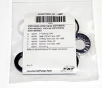Cat Pumps Seal Kit 33629 For 5CP3120, 5CP3120CSS, 5CP3120CSSG1. Fixed Price $147.78.