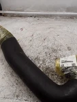 Hyster Hose Assy 8541454. Fixed Price $20.00.