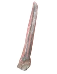 New Genuine Taylor Forklift 3249464 Wiper Arm 28 Panto Fast Shipping. Fixed Price $104.49.