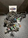 580073542 Wire Harness Chassis Fits Yale Good Used HBU1:124. Fixed Price $1210.00.
