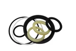 Aztec Replacement For Seal Kit Doosan-daewoo A215043 Tilt Cylinder. Fixed Price $109.99.