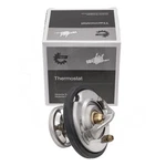Skv Engine Thermostat For Daewoo Musso Mercedes Multicar Puch 83-15 6062030275. Fixed Price $8.48.