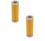 Compass-yang Fuel Filter Replaces Donaldson P502138, Wix 33389,.... Fixed Price $28.22.