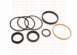 Hyster 0355695, Seal Kit - Tilt Cylinder, 550XL. Fixed Price $50.00.