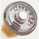 Haltec Large Bore Cap Gauge, 0-160 Psi. Fixed Price $32.05.